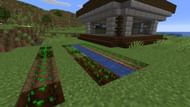 A wheat farm near a player's survival base (Image via Minecraft)
